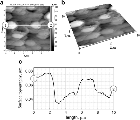 Fig. 7