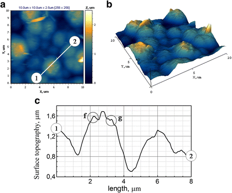 Fig. 8