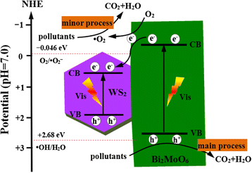 Fig. 10