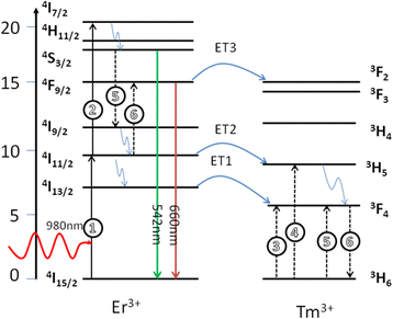 Fig. 4