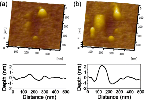 Fig. 4