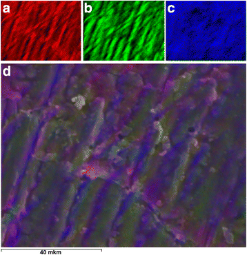 Fig. 9