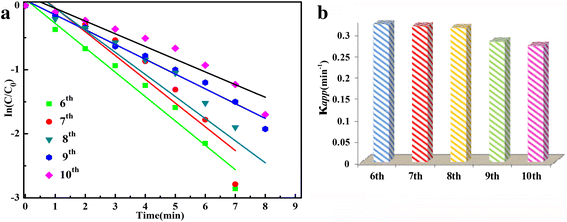 Fig. 8