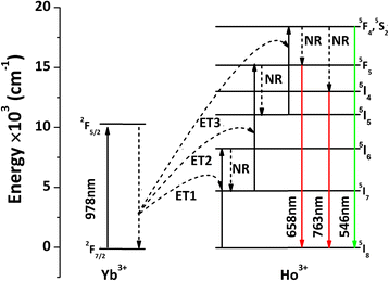 Fig. 5