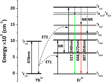 Fig. 7