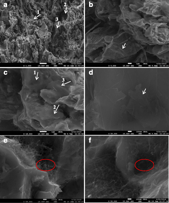 Fig. 10