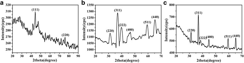 Fig. 2