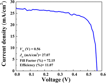 Fig. 8