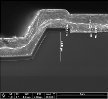 Fig. 5