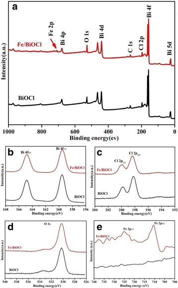 Fig. 5