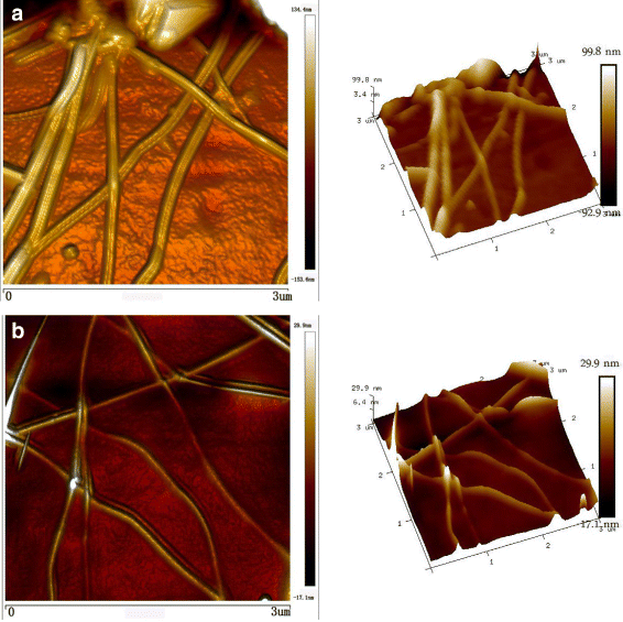 Fig. 9