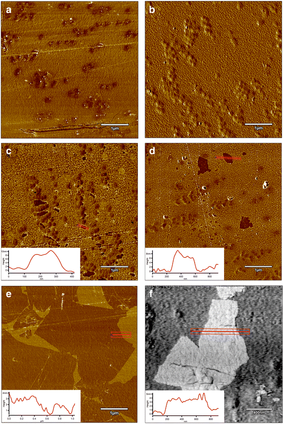 Fig. 8