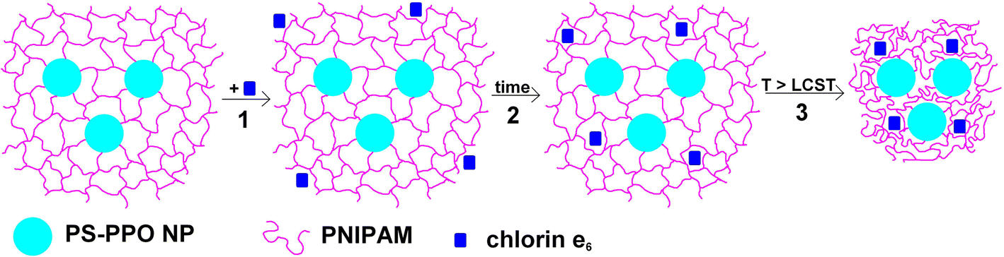 Fig. 10