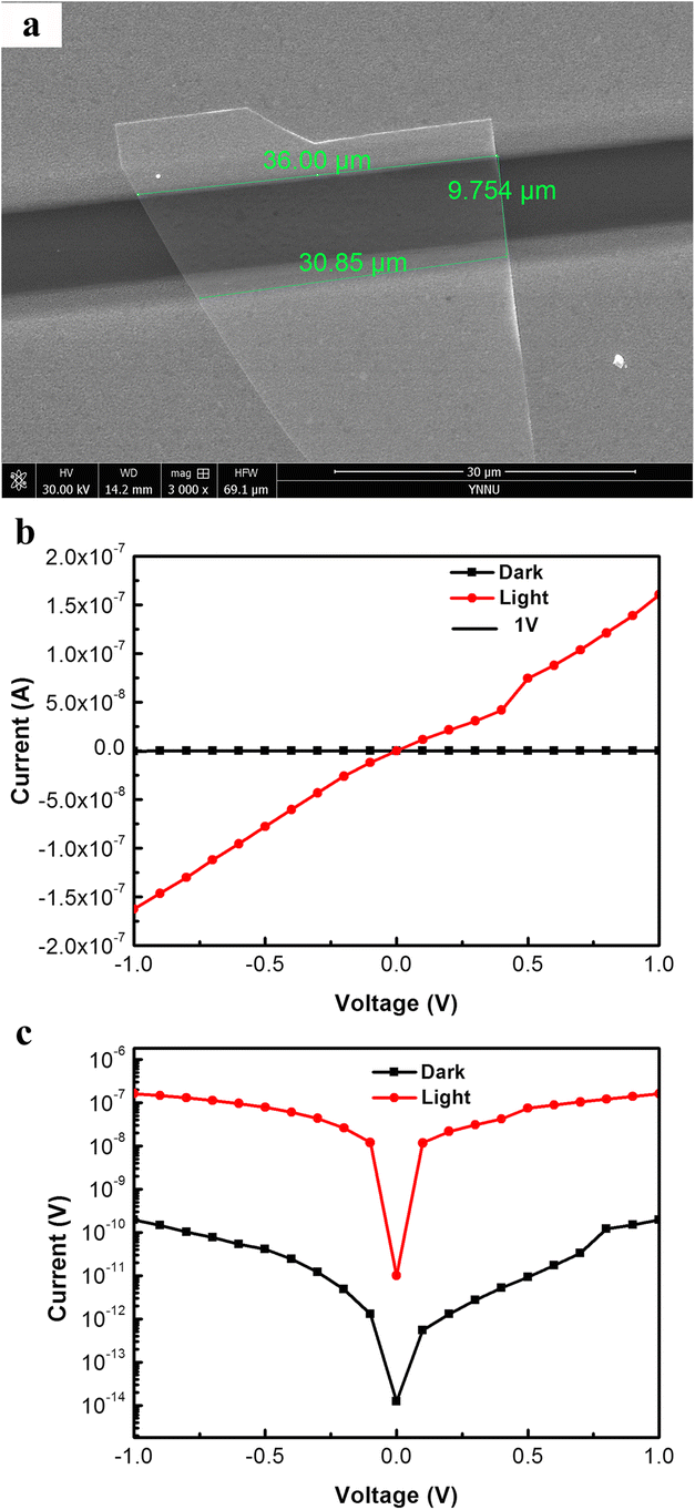 Fig. 7