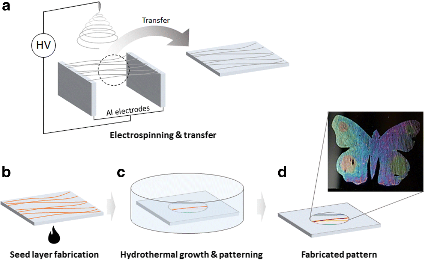 Fig. 1