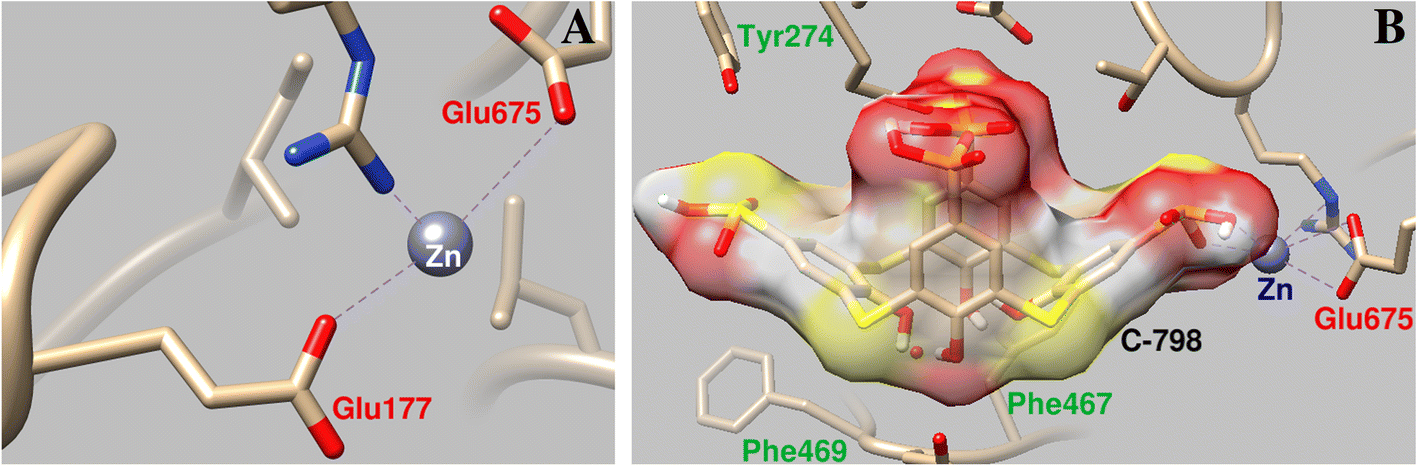 Fig. 6