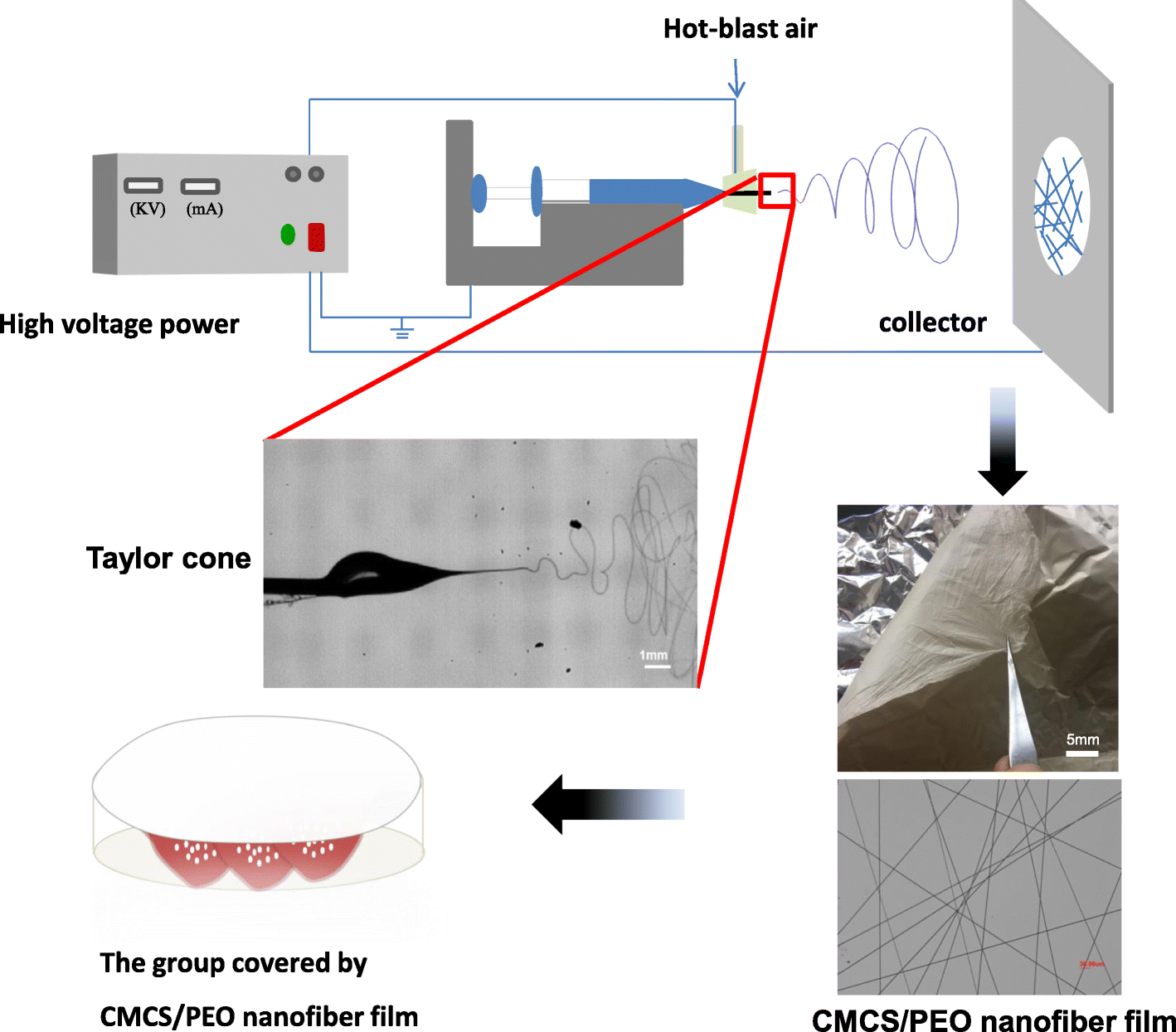 Fig. 1