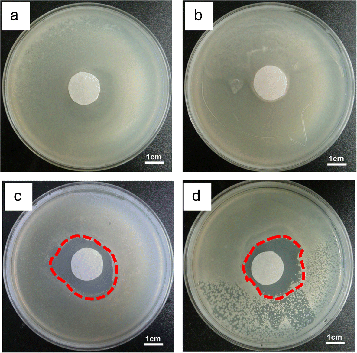 Fig. 6