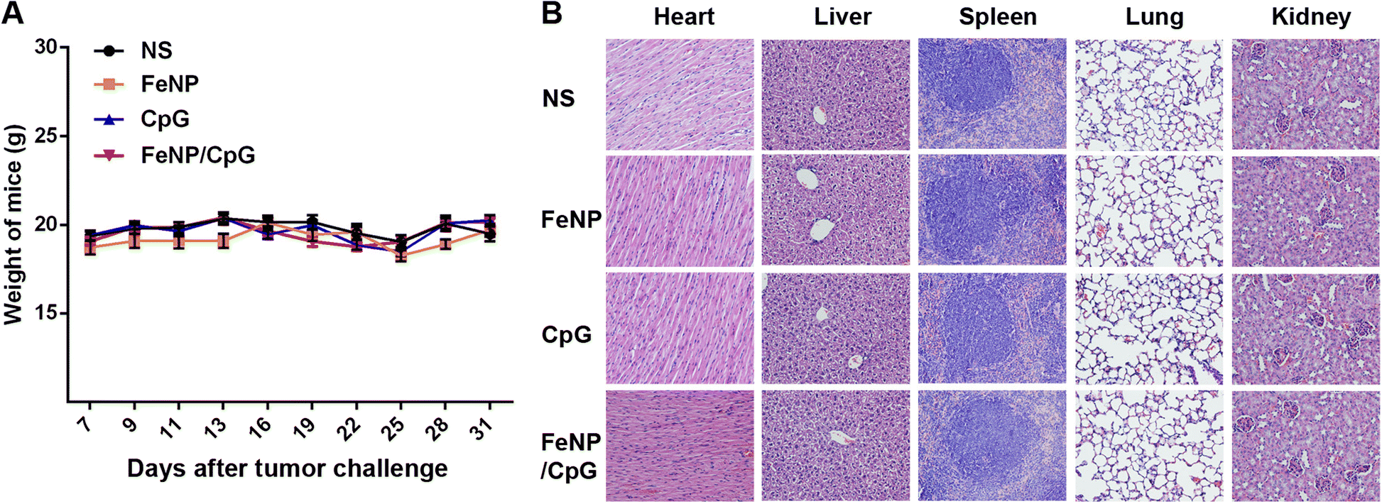 Fig. 6