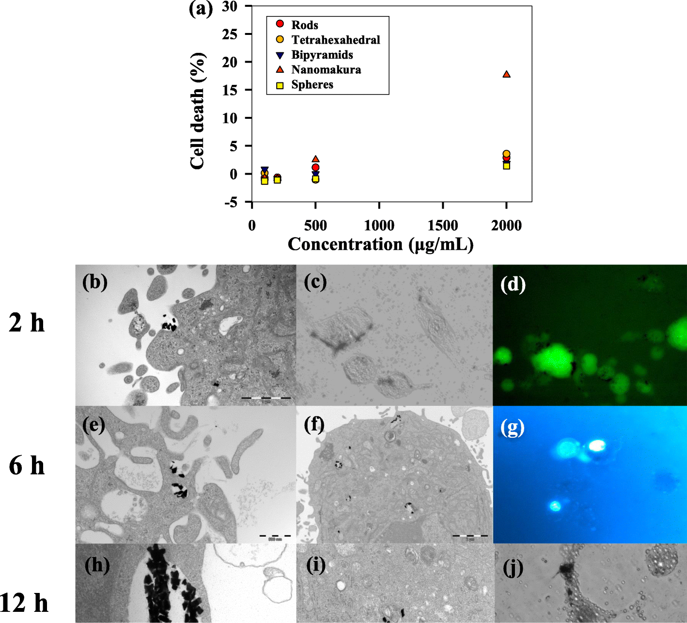 Fig. 5