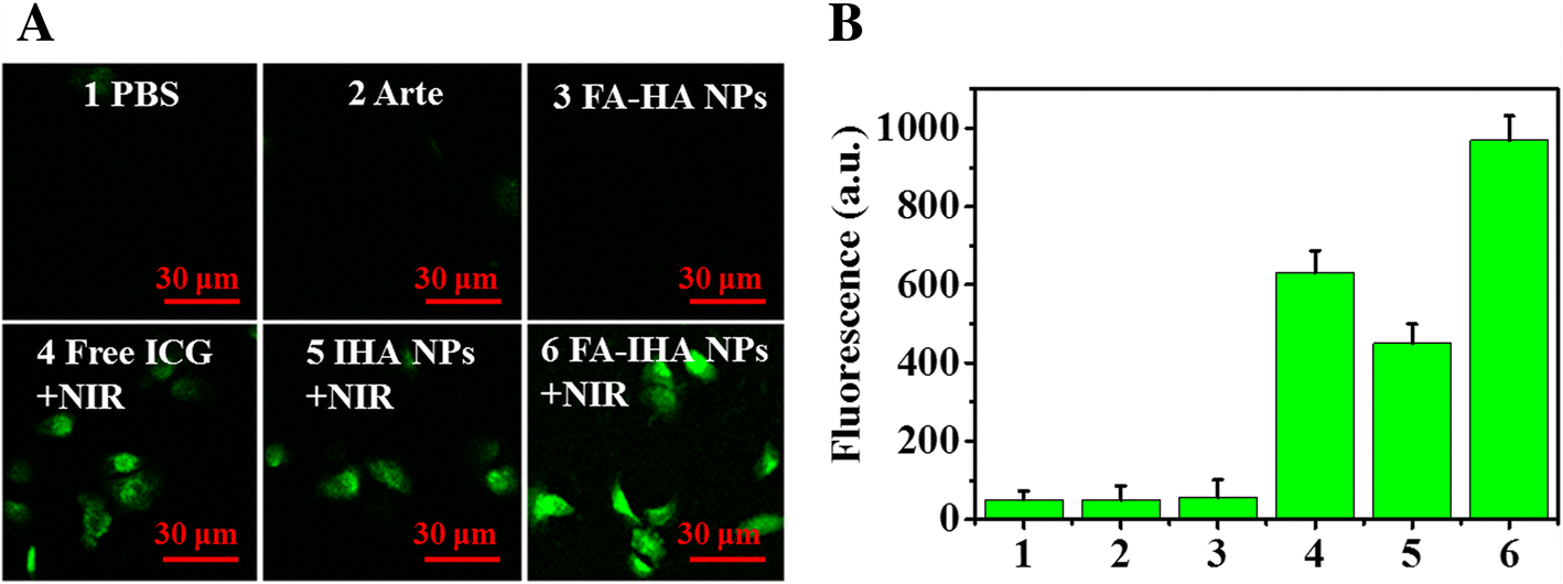 Fig. 6