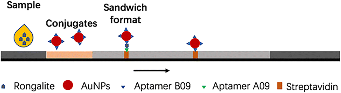 Fig. 3