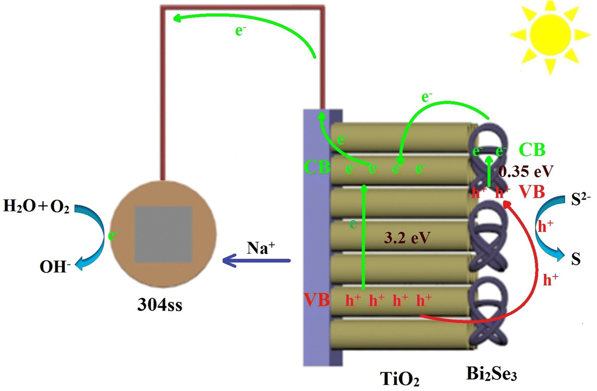 Fig. 7