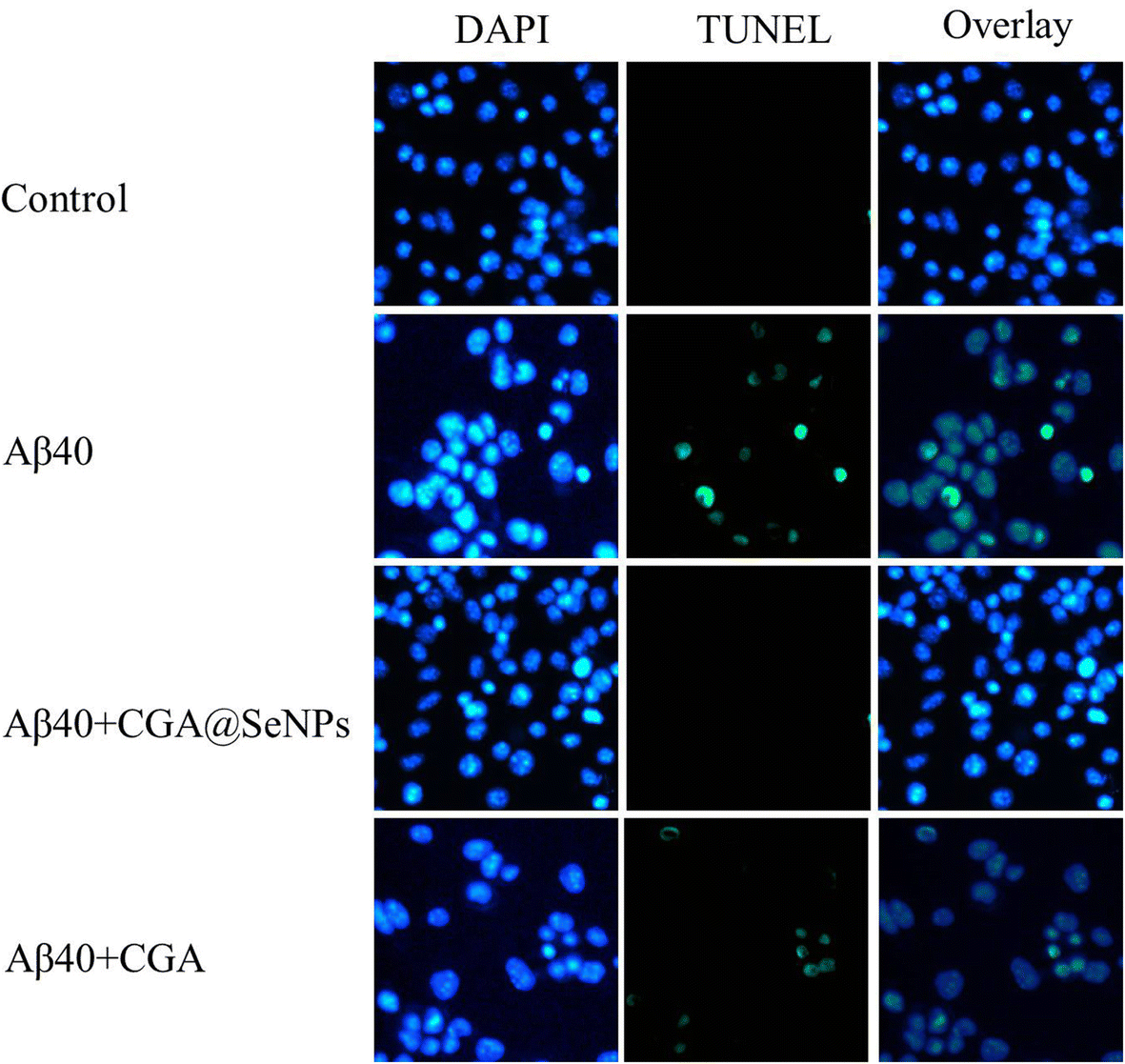 Fig. 6