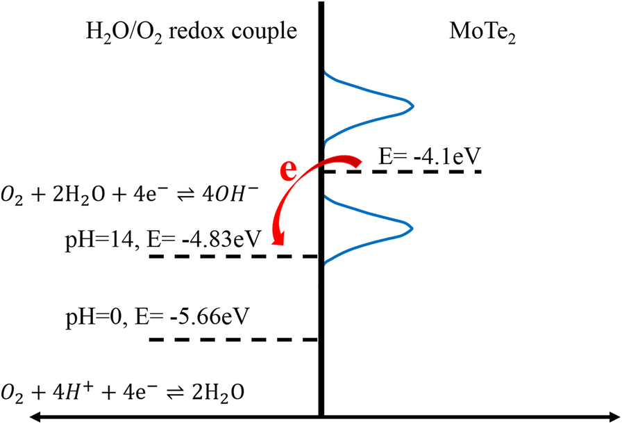 Fig. 8