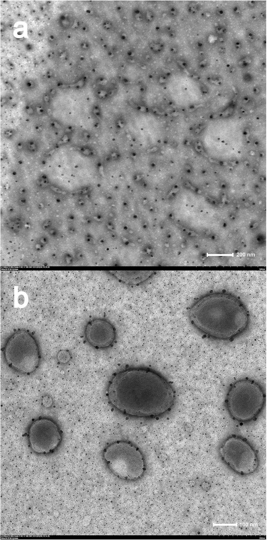 Fig. 10