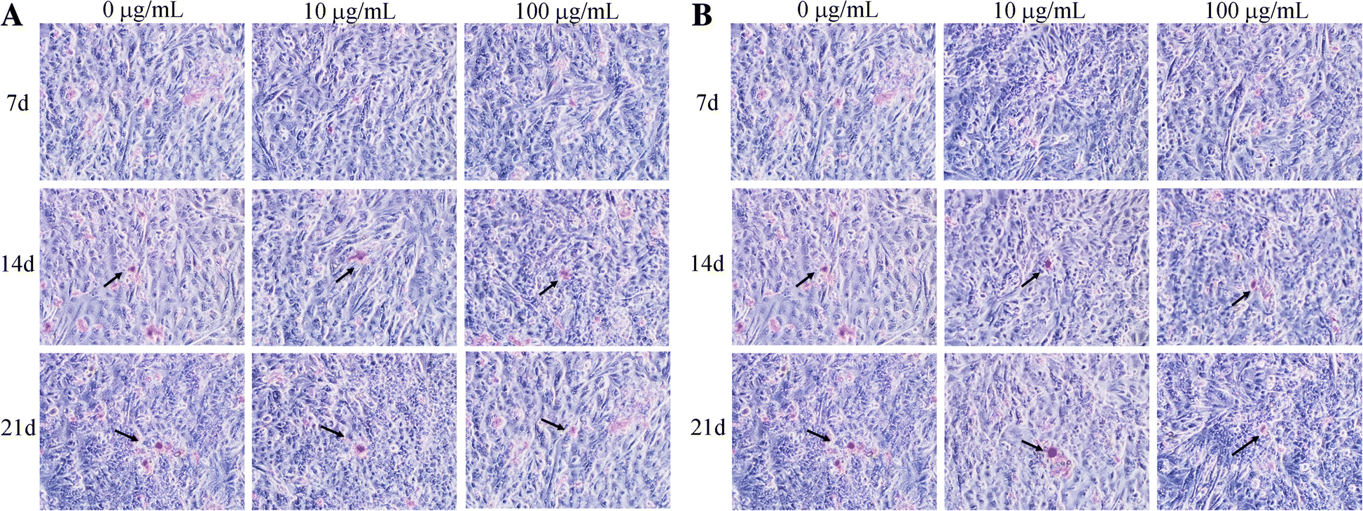 Fig. 7