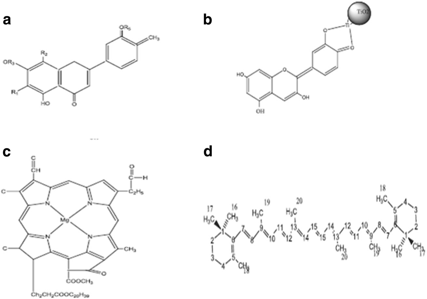 Fig. 23