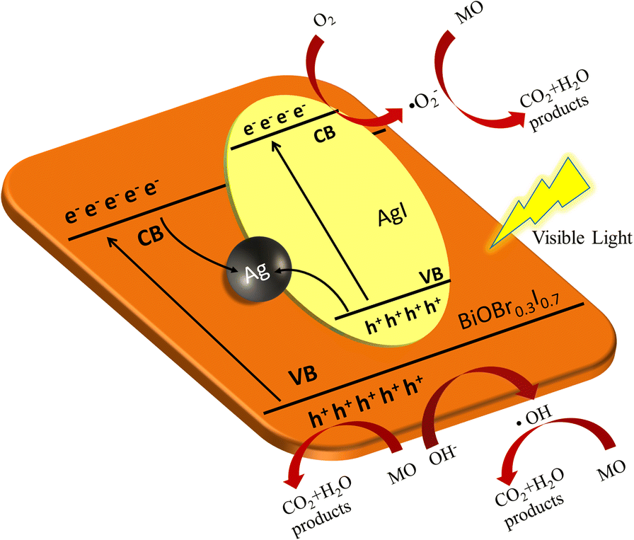 Fig. 6