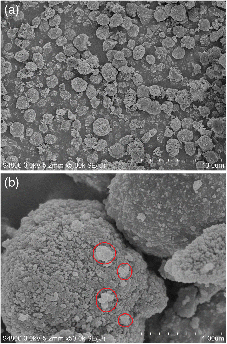 Fig. 11