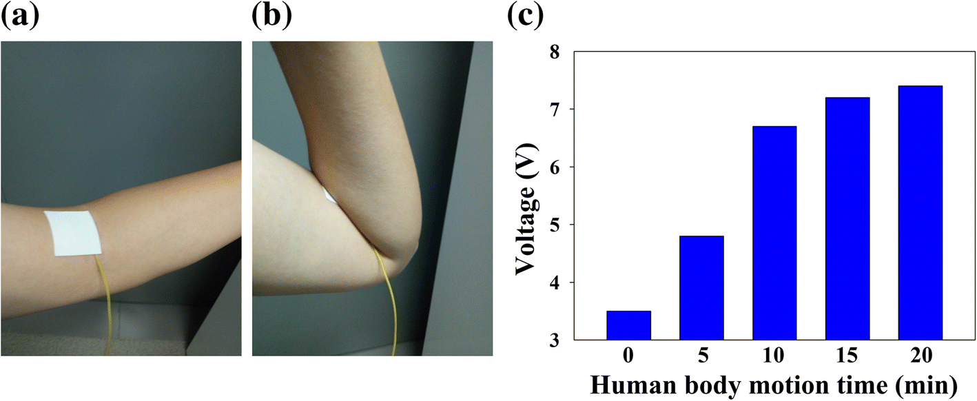 Fig. 6