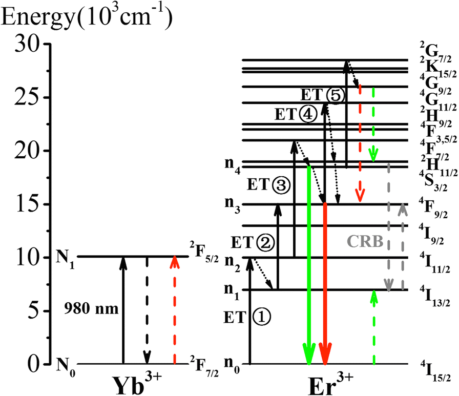 Fig. 8