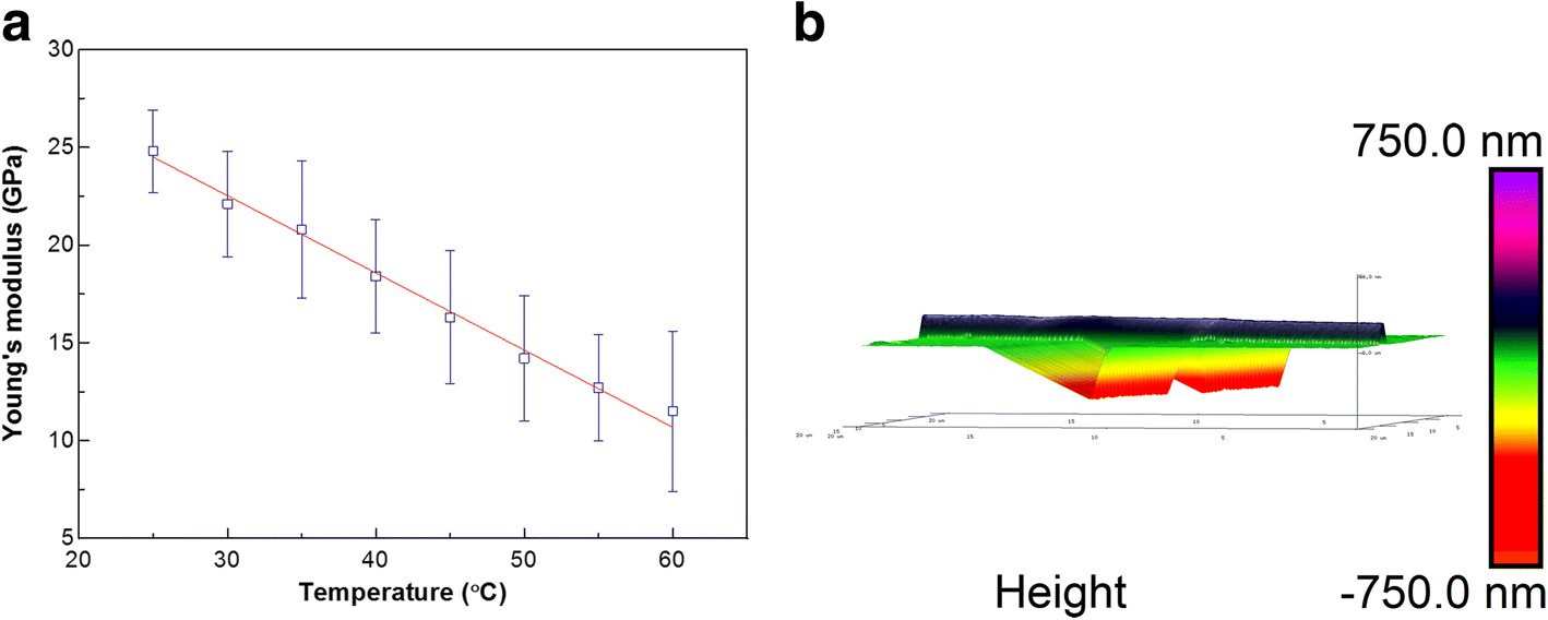 Fig. 5