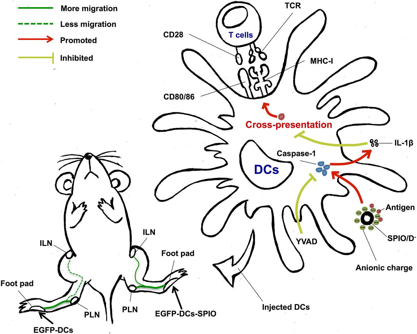 Fig. 6