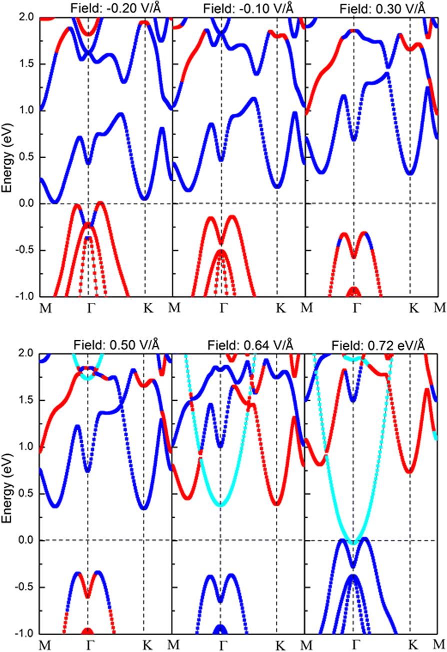 Fig. 7