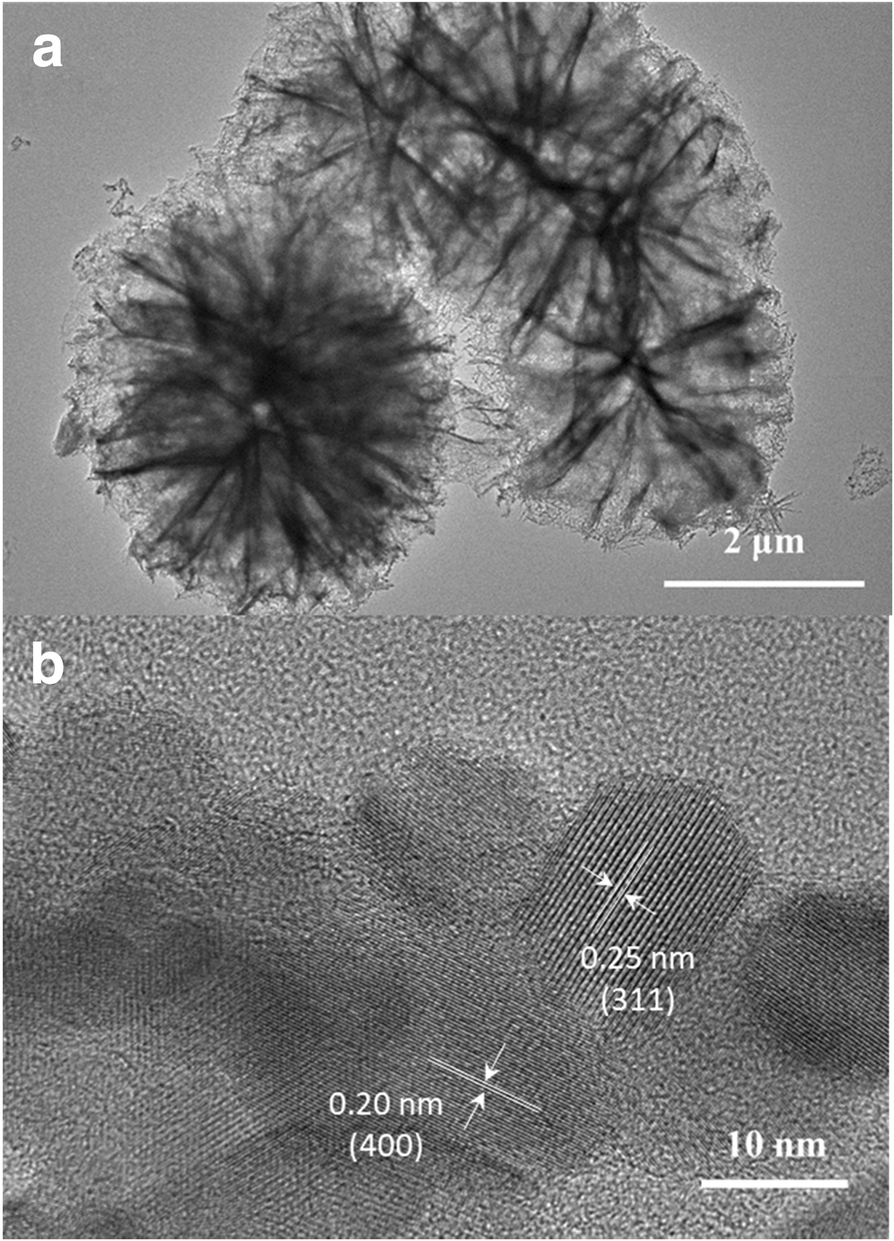 Fig. 4