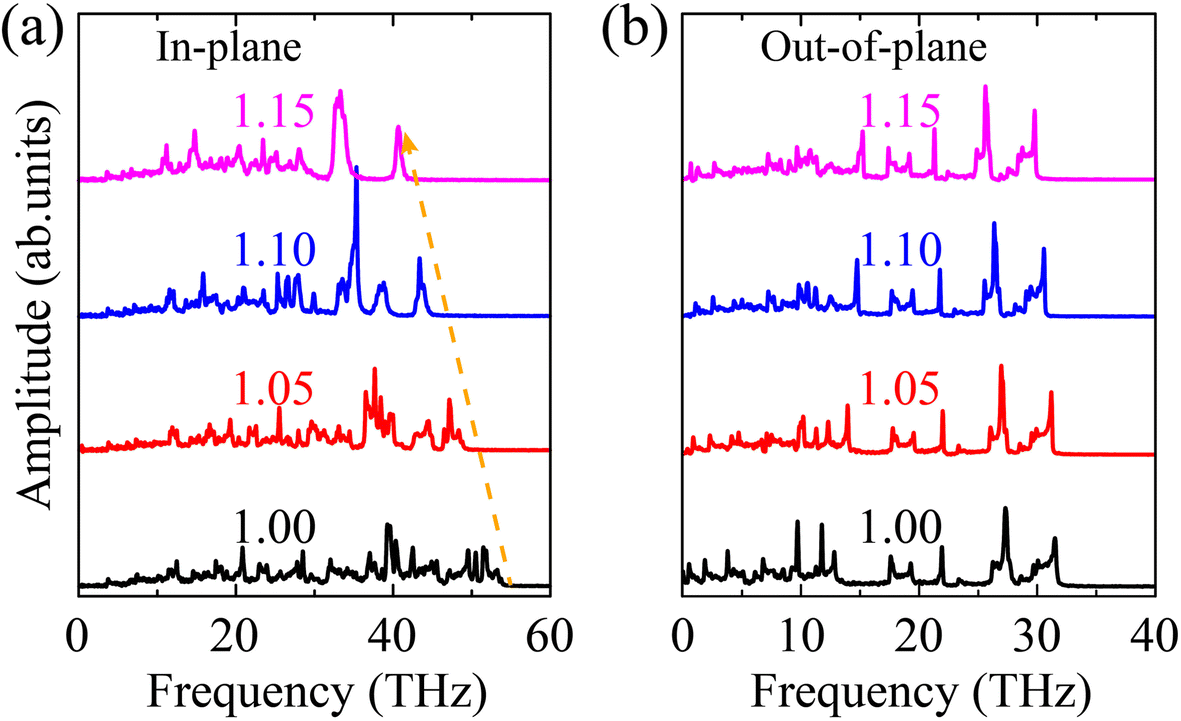 Fig. 11