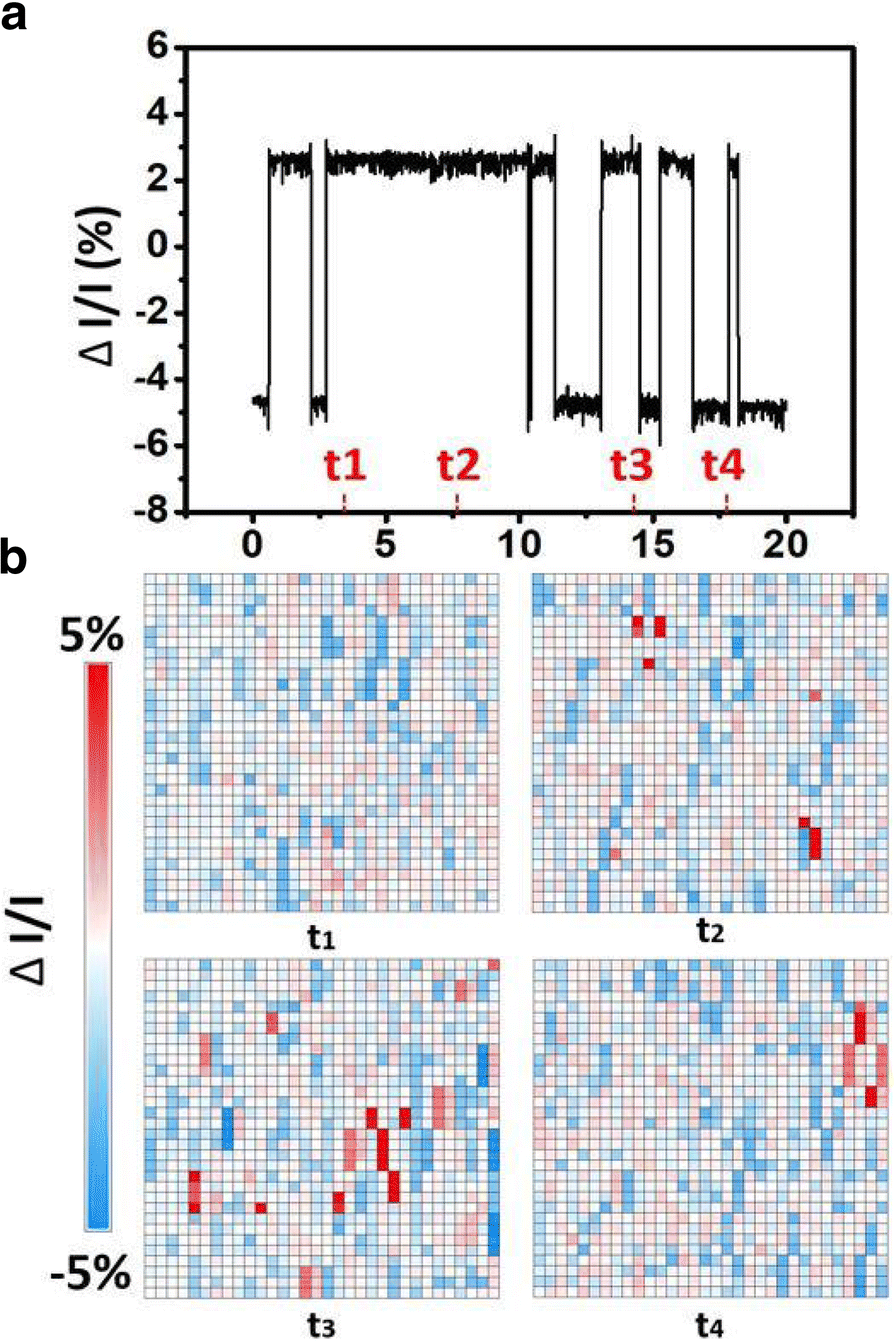 Fig. 4