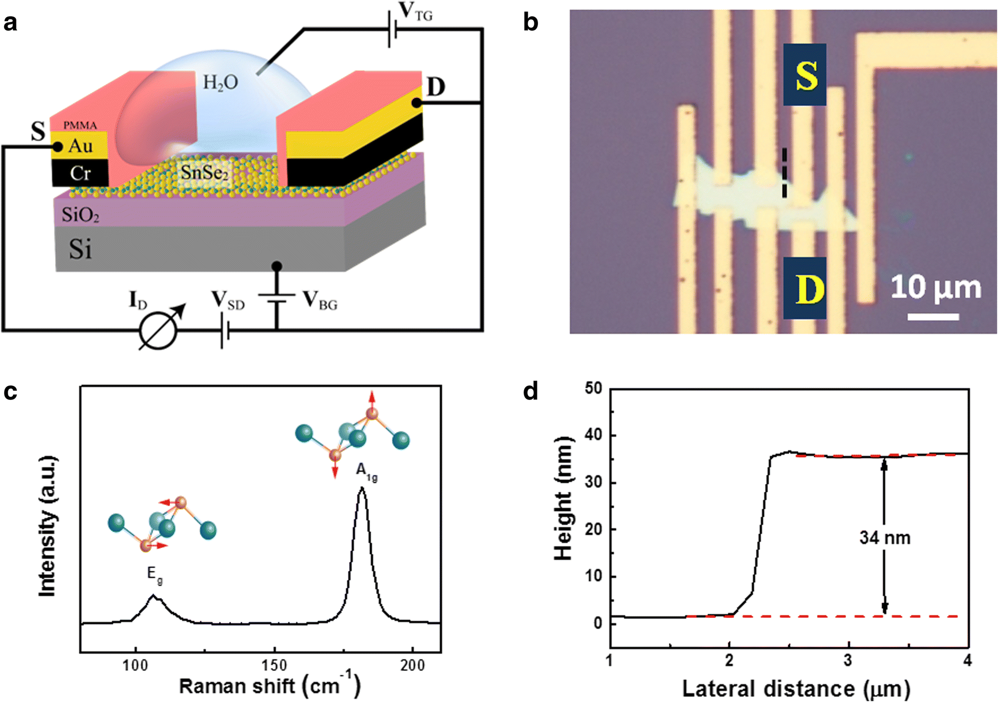 SnSe2 FieldEffect Transistor with High On/Off Ratio and PolaritySwitchable Photoconductivity