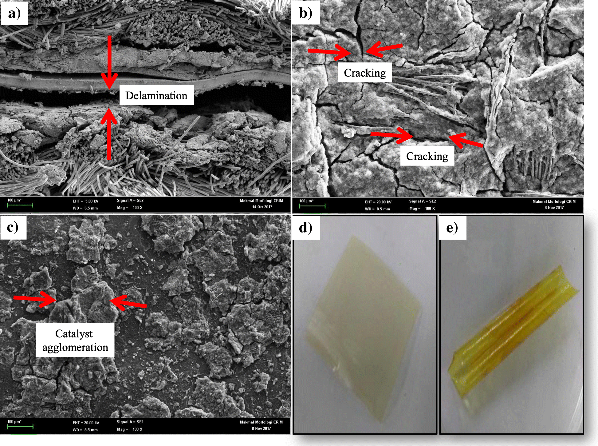 Fig. 10