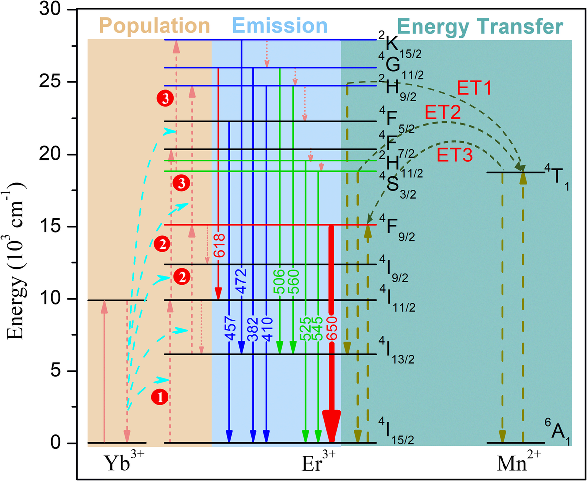 Fig. 5