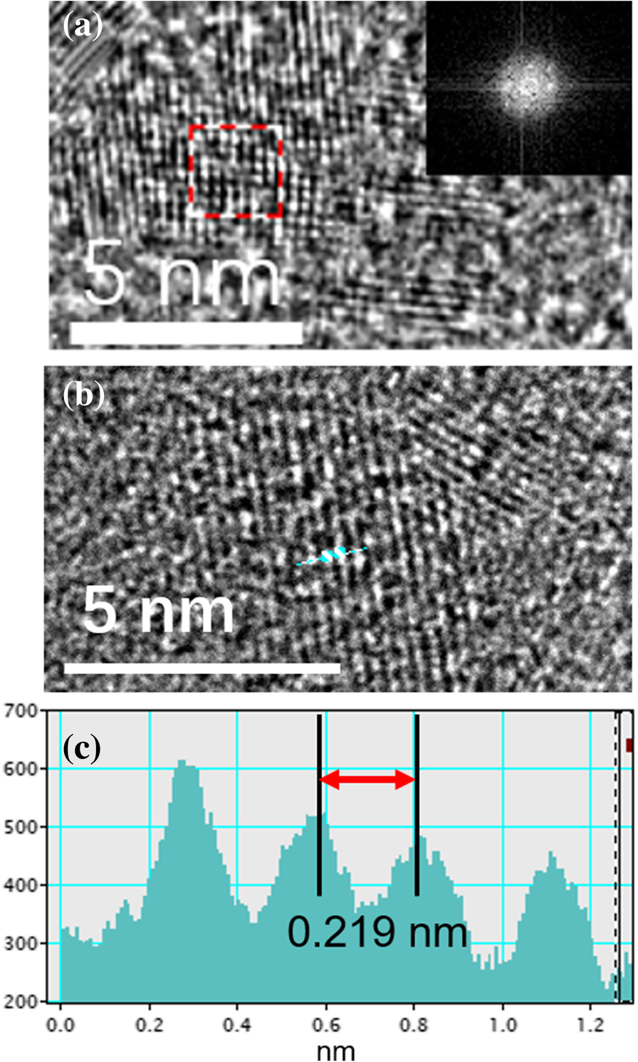 Fig. 2