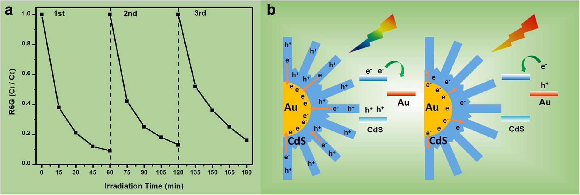 Fig. 8