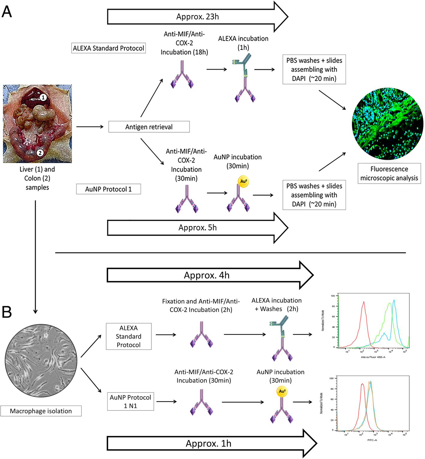 Fig. 7