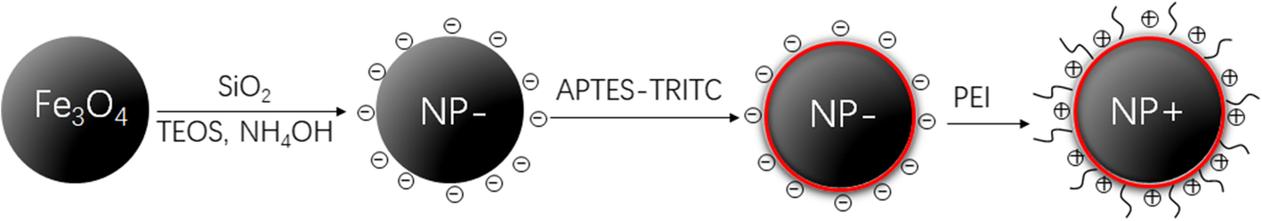 Fig. 1