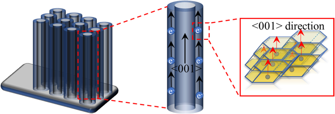 Fig. 6